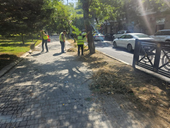 Nəsimi rayonunda növbəti iməcilik keçirilib
