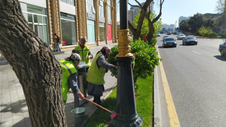 Nəsimi rayonunda növbəti iməcilik keçirildi.