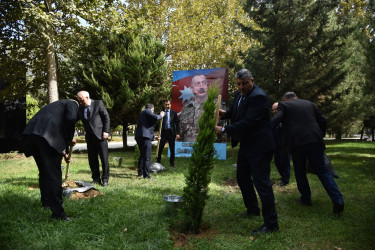 Nəsimi rayonunda 27 sentyabr - Anım günü münasibətilə ağacəkmə aksiyası keçirilib