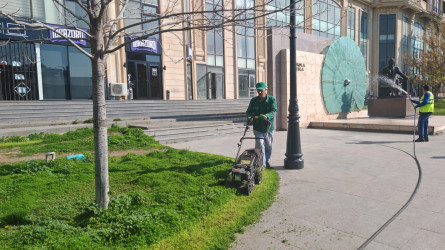 Nəsimi rayonunda növbəti iməcilik keçirilib