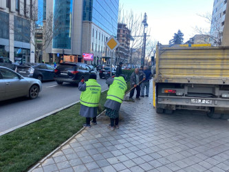 Rayon ərazisində yaşıllaşdırma və sanitar təmizlik işləri aparılır.