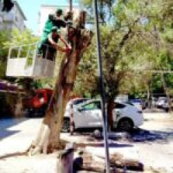 Nəsimi rayonunda genişmiqyaslı eko-təmizlik işlərinə başlanılıb