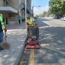 Rayonda küləyin fəsadlarının aradan qaldırılması istiqamətində tədbirlər görüldü