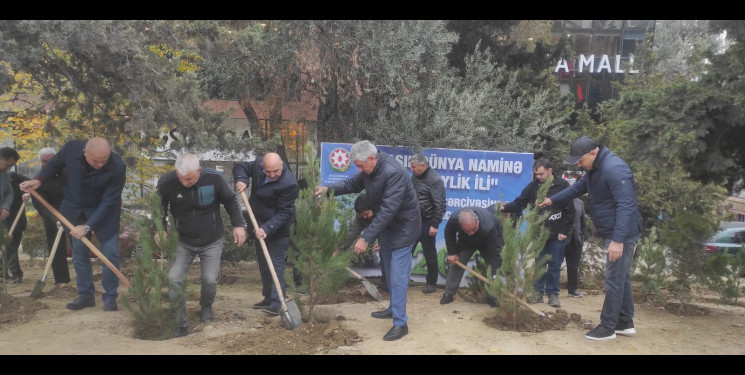 Nəsimi rayonunda “Yaşıl dünya naminə həmrəylik ili” çərçivəsində ağacəkmə aksiyası davam edir.