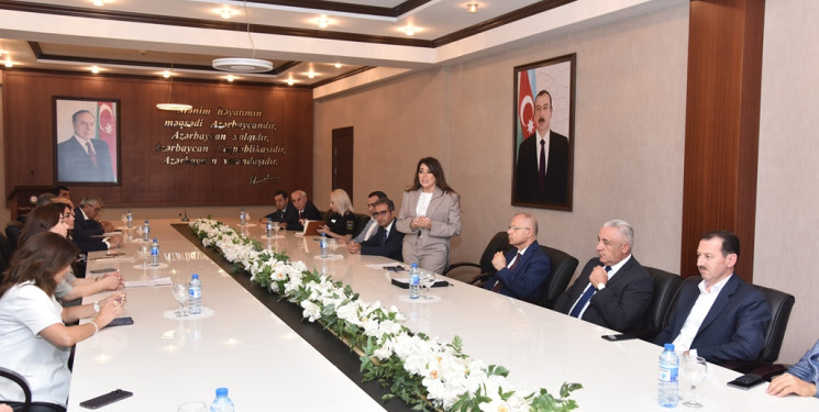 “Konstitusiya və Suverenlik İli” çərçivəsində “Hüquqla müalicə” adlı dəyirmi masa keçirildi.