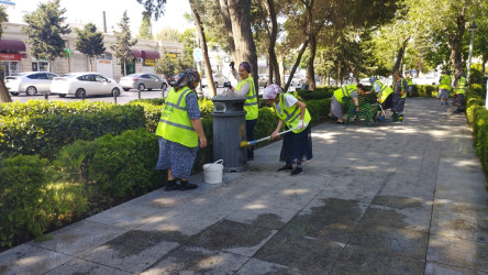 Rayonda növbəti iməcilik keçirildi.