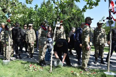 Nəsimi rayonunda 27 Sentyabr - Anım günü münasibətilə  rayon ərazisində yerləşən “Zəfər bağı”nda tədbir keçirilib.