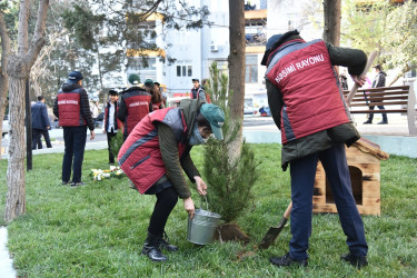 Nəsimi rayonunda növbəti “Abad həyət” sakinlərin istifadəsinə verilib.