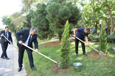Nəsimi rayonunda 27 sentyabr - Anım Günü münasibətilə ağacəkmə aksiyası keçirilib.