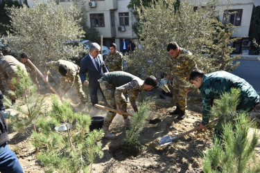 Nəsimi rayonunda 27 sentyabr-Anım günü  münasibətilə ağacəkmə aksiyası keçirilib.