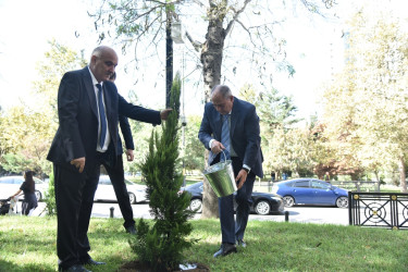 Nəsimi rayonunda 27 sentyabr - Anım Günü münasibətilə ağacəkmə aksiyası keçirilib.