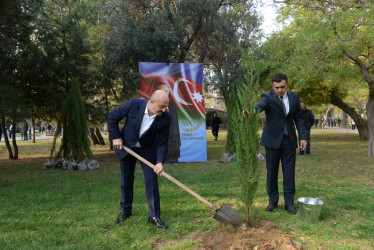 Nəsimi rayonunda Zəfər Günü münasibəti ilə ağacəkmə aksiyası keçirilib.