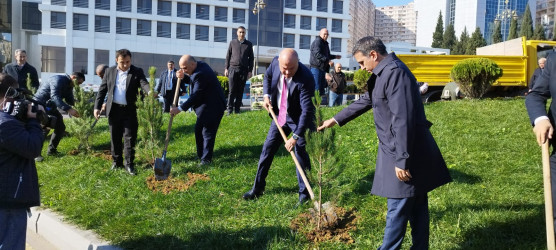 Nəsimi rayonunda “Yaşıl dünya naminə həmrəylik ili” çərçivəsində  növbəti tədbir keçirilib.