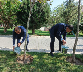 Nəsimi rayonunda Anım Günü ilə bağlı silsilə tədbirlər keçirilib.