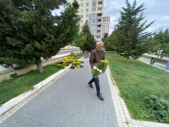 Vətən müharibəsi Şəhidlərinin xatirəsinə yaradılan Zəfər bağına baxış keçirildi.