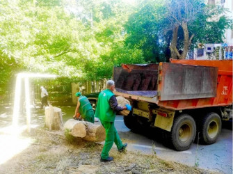 Nəsimi rayonunda genişmiqyaslı eko-təmizlik işlərinə başlanılıb
