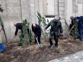 Nəsimi rayonunda “Yaşıl dünya naminə həmrəylik ili” çərçivəsində növbəti ağacəkmə aksiyası keçirilmişdir.