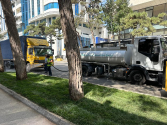 Rayonun Zərifə Əliyeva küçəsi boyu yaşıllıq zolaqlarına qulluq göstərilmiş və mövsümi güllər əkilmişdir.