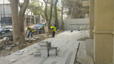 Neftçilər prospekti 143 ünvanda yeni yaşıllıq zolaqları və istirahət parkı yaradılır.