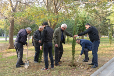 Nəsimi rayonunda Zəfər Günü münasibəti ilə ağacəkmə aksiyası keçirilib.