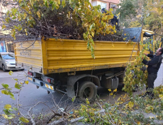 Nəsimi rayonunda iməcilik keçirildi.