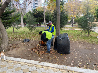 Rayonda növbəti iməcilik təşkil olundu.