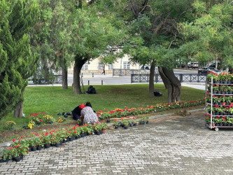 Zorge parkında cari təmir işləri aparılıb.