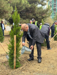 Nəsimi rayonunda Anım Günü ərəfəsində ağacəkmə aksiyası keçirilib.