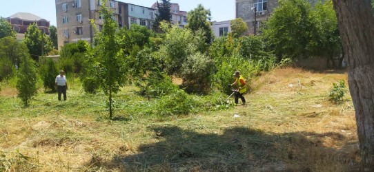 Rayonda növbəti  iməcilik keçirildi.