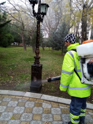 Bu gün Nəsimi rayonunda növbəti iməclik keçirildi.