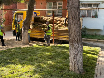 Parklarda, abad həyətlərdə yeni yaşıllıq zolaqları yaradılıb.