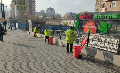 Nəsimi rayonunda növbəti iməcilik keçirilib