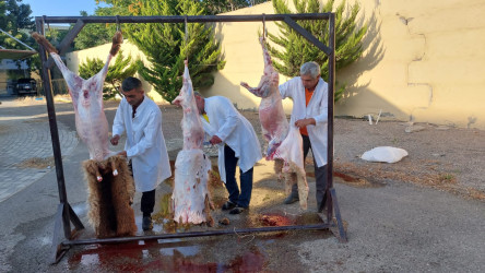 Nəsimi rayonunda Qurban Bayramı münasibətilə sosial aksiyalar keçirilib.