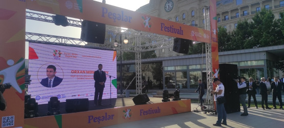 Nəsimi rayonunda Peşələr Festivalı keçirilib.