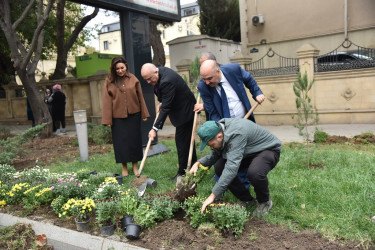 Nəsimi rayonunda “Yaşıl dünya naminə həmrəylik ili” çərçivəsində ağacəkmə aksiyası  keçirilib