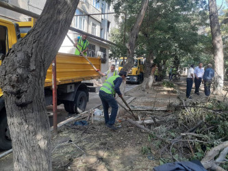 Nəsimi rayonu 3-cü mikrorayon Cavadxan küçəsi 26,30 saylı ünvanlarda abadlıq-quruculuq işləri davam etdirilir.