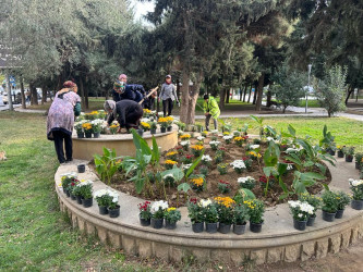 Nəsimi rayonunda Zəfər Günü münasibəti ilə ağacəkmə aksiyası keçirilib.