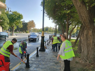 Nəsimi rayonunda növbəti iməcilik keçirildi.