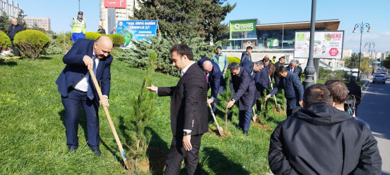 Nəsimi rayonunda “Yaşıl dünya naminə həmrəylik ili” çərçivəsində  növbəti tədbir keçirilib.