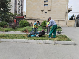 Nəsimi rayonunda növbəti iməcilik keçirilib, sanitar təmizlik işləri aparılıb.