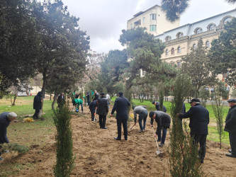 Nəsimi rayonunda növbəti iməcilik keçirilib