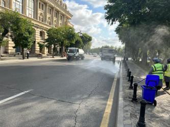 Nəsimi rayonunda növbəti iməcilik keçirilib, sanitar təmizlik işləri aparılıb.