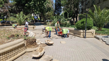 Rayon ərazisində parklarda  və yol kənarındakı istinad divarlarında cari təmir işləri aparılıb.