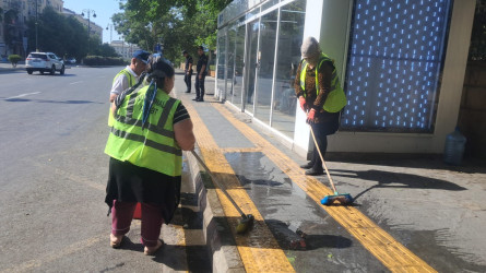 Nəsimi rayonunda növbəti iməcilik keçirilib