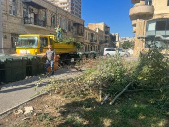 Nəsimi rayonunda növbəti iməcilik keçirilib, sanitar təmizlik işləri aparılıb.