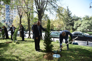 Nəsimi rayonunda 27 sentyabr - Anım Günü münasibətilə ağacəkmə aksiyası keçirilib.