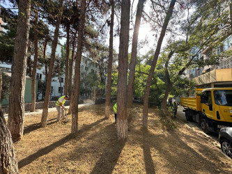 Cavadxan küçəsi 26,30 saylı ünvanlarında aparılan abadlıq-quruculuq işləri davam edir.