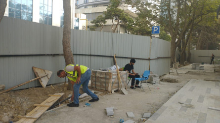 Neftçilər prospekti 143 ünvanda yeni yaşıllıq zolaqları və istirahət parkı yaradılır.