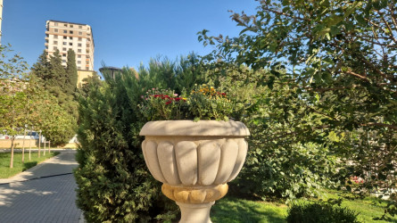 Nəsimi rayonunda yerləşən Zəfər bağında başlanılmış təmir işləri yekunlaşmışdır.