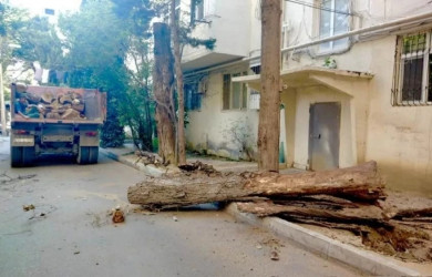 Nəsimi rayonunda genişmiqyaslı eko-təmizlik işlərinə başlanılıb